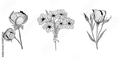 big set of flowers. Hand-drawn. design greeting card and invitation of the we...