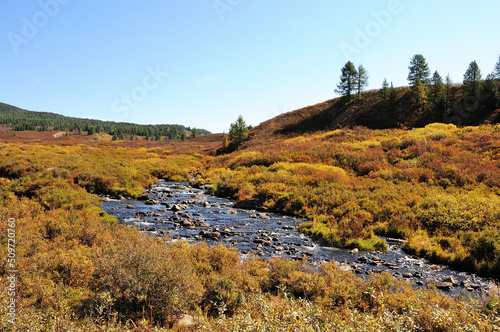 A shallow stream with a rocky bottom flows through the autumn tundra, skirting low hills.