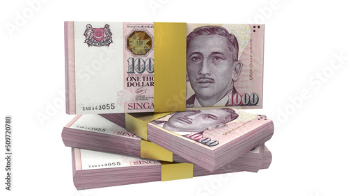 dollar singapore currency photo