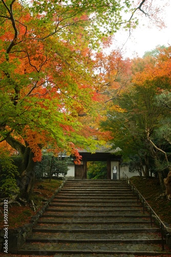 Kyoto Anrakuji temple in autumn leaves season photo