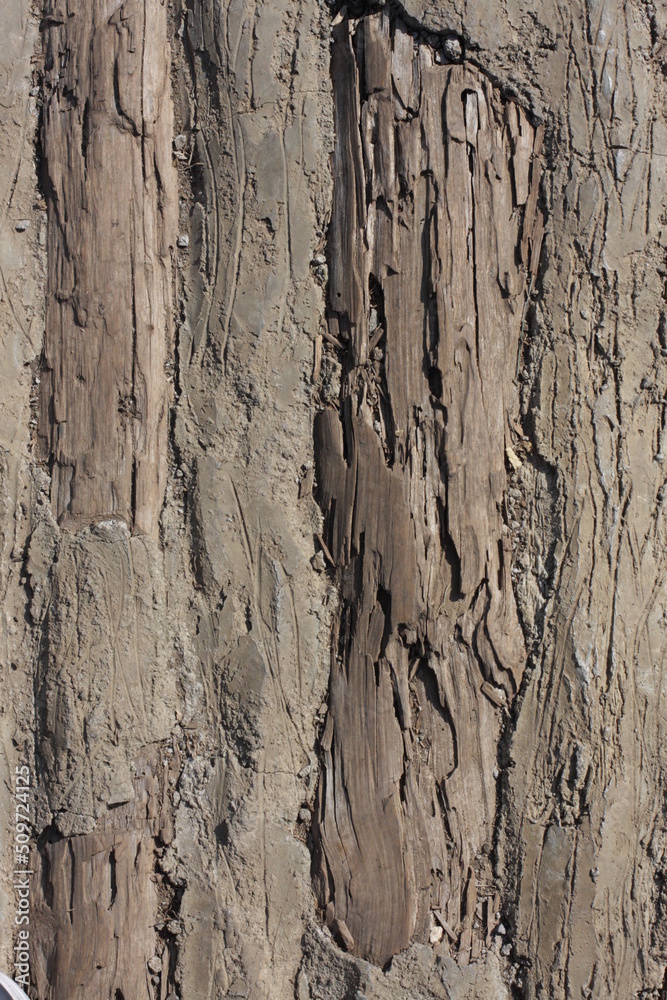 Obraz premium Raw File High Resolution Wood textures for background