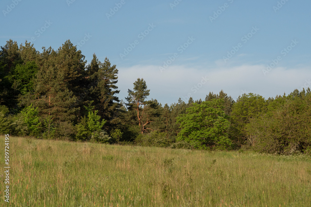 Landschaft im Ilm-Kreis