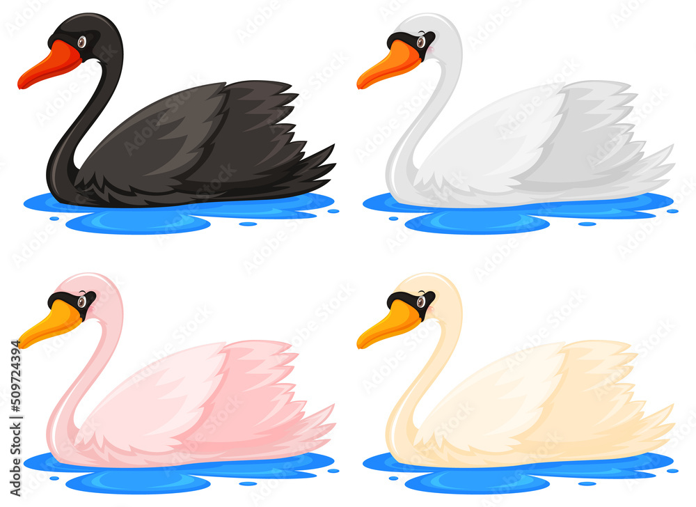 Obraz premium Four swans in different colours