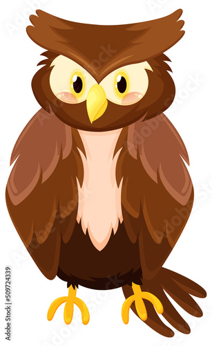 Brown owl bird in cartoon style