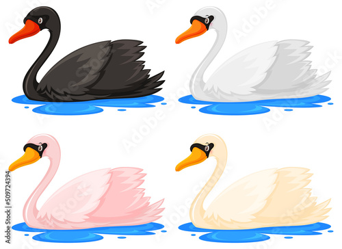 Obraz na plátně Four swans in different colours