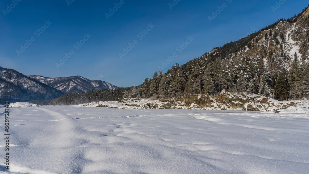 The valley is covered with pure white snow. Picturesque mountains against the blue sky. Coniferous trees on the hills. Altai