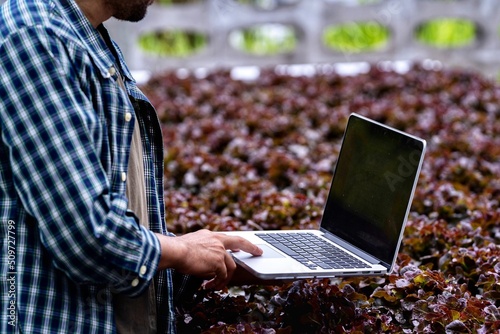 person working on laptop in the plant factory