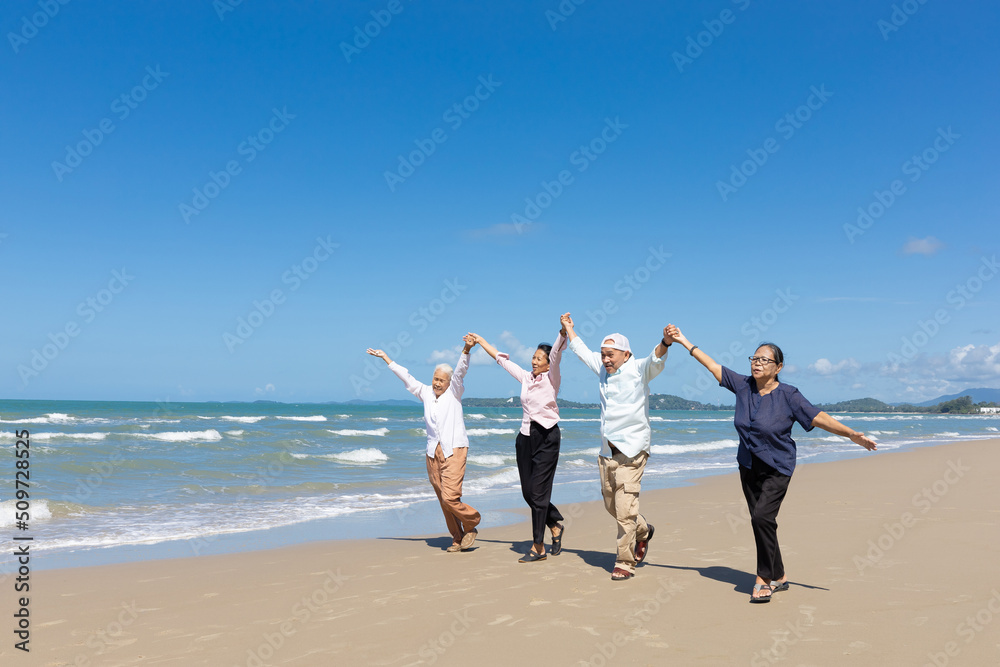 group of seniors man and women walking and arms raised together on the beach group of seniors man and women walking and arms raised together on the beach