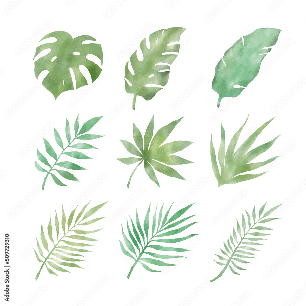 夏の植物、葉っぱの水彩ベクターイラストセット 夏の植物、葉っぱの水彩ベクターイラストセット