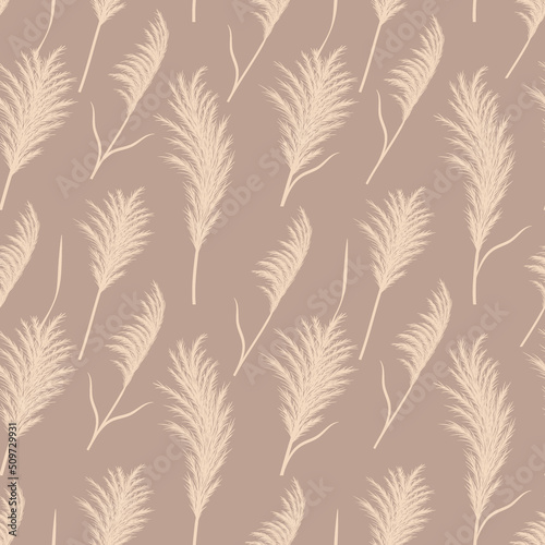 Pampas grass seamless pattern. Vector cortaderia in boho style. Autumn background. Trendy design for wedding, postcards, textile, wallpaper, fabric, wrapping paper.