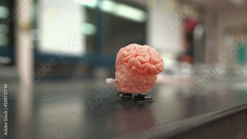 Fun wind-up toy walking brain walks off science table.