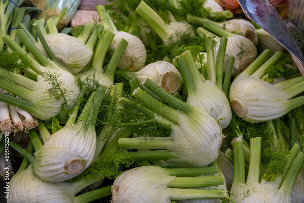 Fennel bulb background. Fresh Organic vegetable open air market, retail stall close up in Amsterdam.
