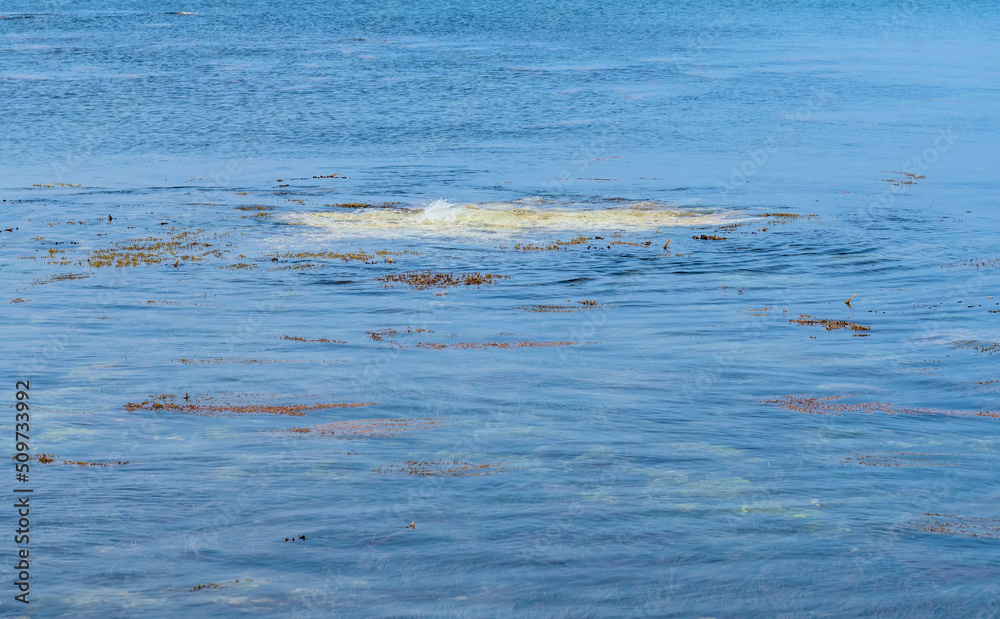 Obraz premium Disturbance under surface of water