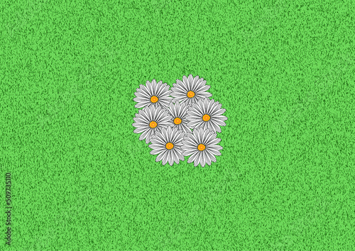 Gruppo di petali di camomilla per etichetta illustrazione su sfondo verde tipo prato photo