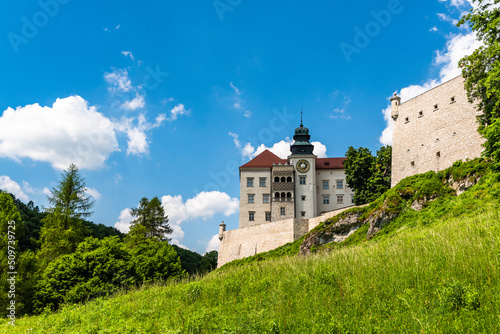 Pieskowa Skala Castle in Ojcowski National Park near Cracow, Poland photo