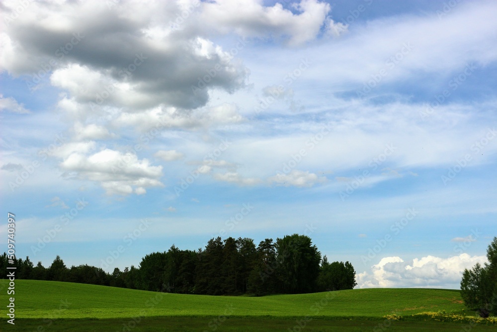 green field and sky green field and sky