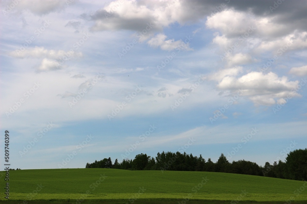 green field and sky green field and sky