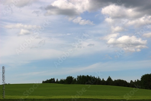 green field and sky