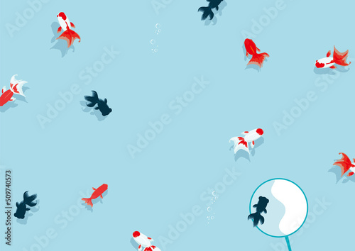 金魚すくい　背景イラスト