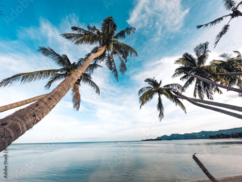Beaches and coconut palms on a tropical island