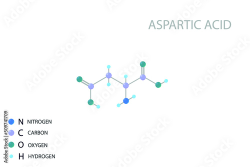 Aspartic acid molecular skeletal 3D chemical formula.	