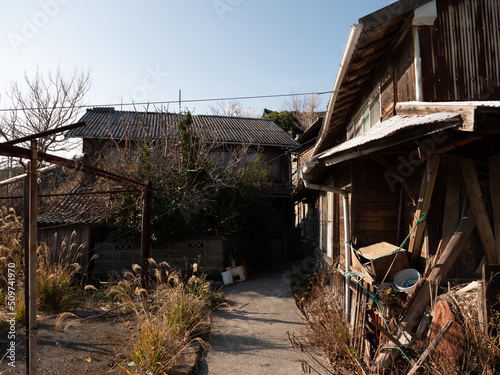 過疎化が進み無人になった青島の廃屋
 photo