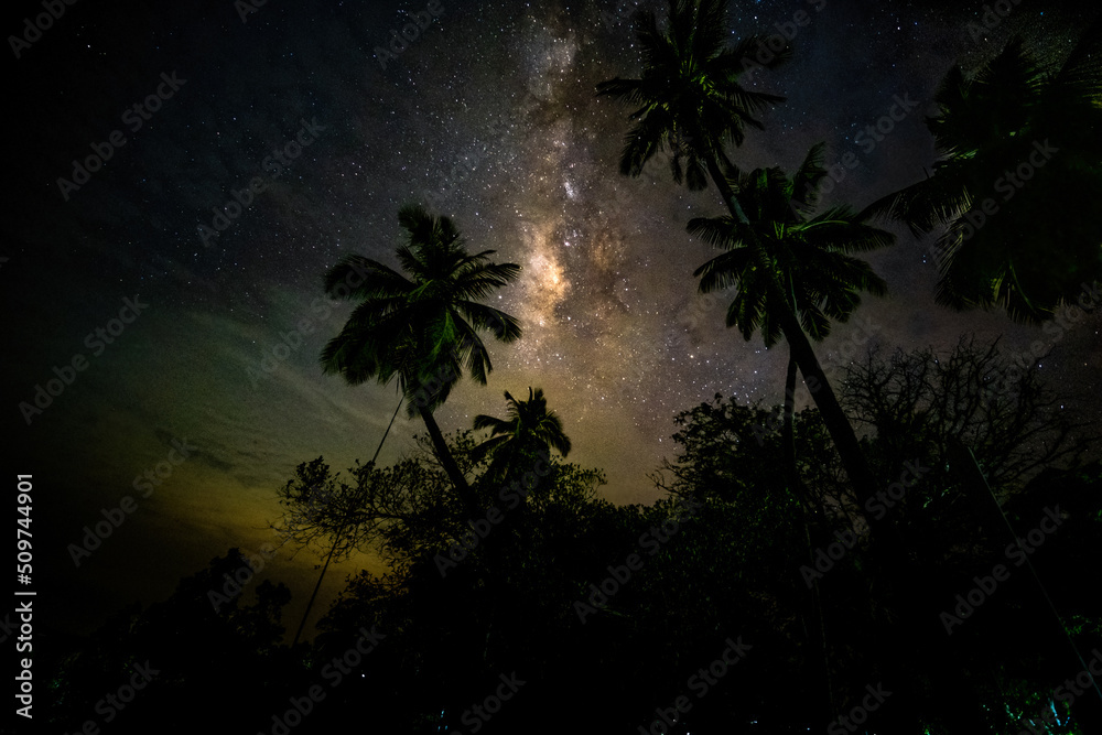 Milky Way Galaxy moving over the tree. Night lapse from night to day. Starry night, Phangnga Thailand, night sky stars on sky