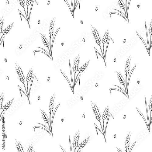 Wheat spikelets and grains, vector seamless pattern. Outline drawn in sketch style isolated. Design of print, wrapping paper, packaging on theme of bakery products, flour, harvest, thanksgiving.