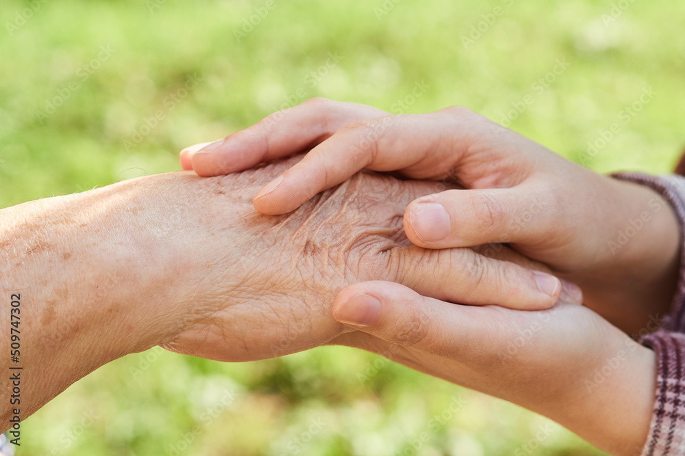 young woman holds the hand of an elderly pensioner young woman holds the hand of an elderly pensioner