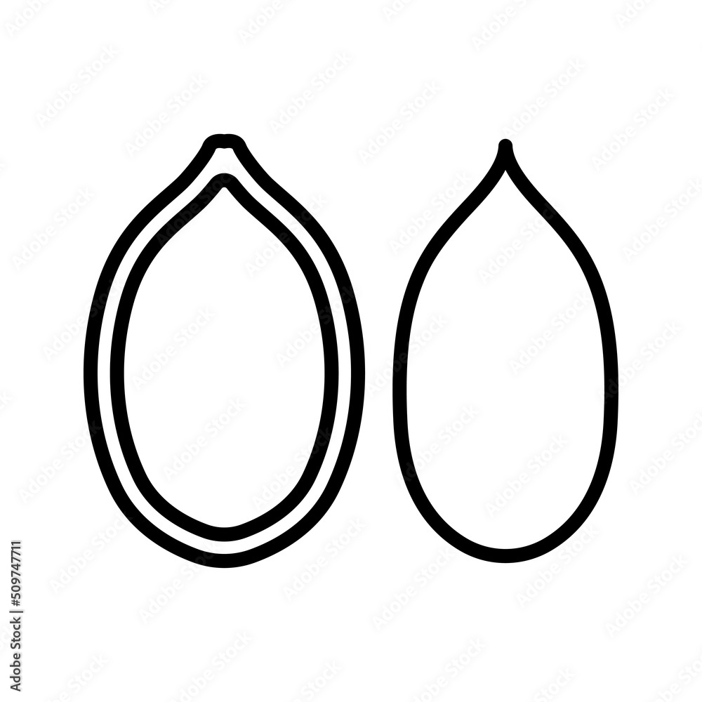 Pumpkin seed icon isolated on white background. Pumpkin seed icon isolated on white background.