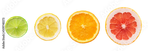 Citrus fruits slices isolated on white background. Variety fresh citrus cut in round slices.