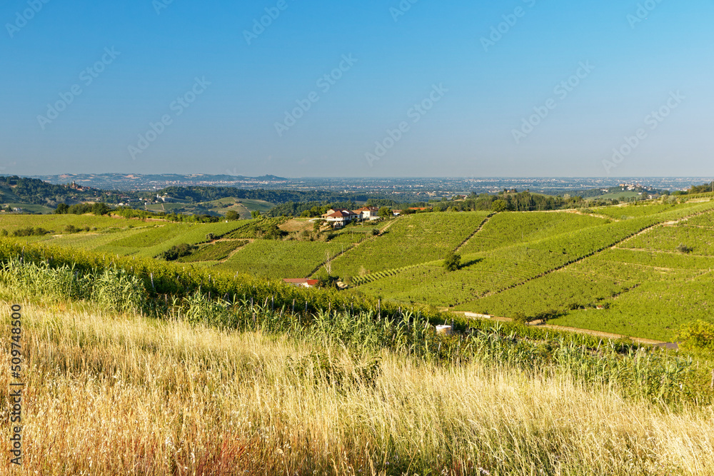 Panoramic summer view on the hills of Monferrato, historical wine region of Piedmont, Italy