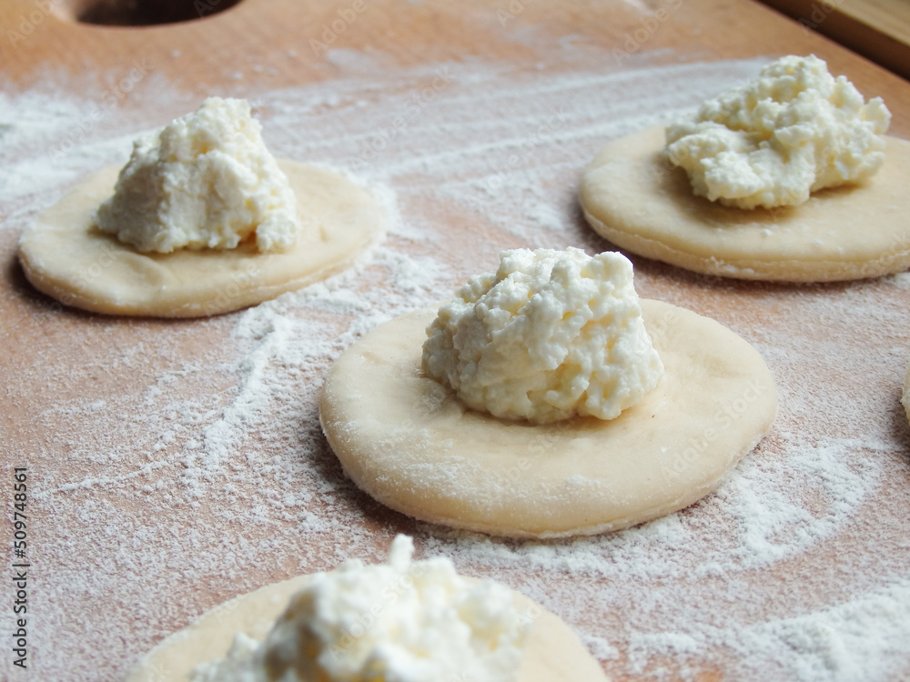 cooking. Dumplings with cheese. Ready for cooking dumplings with cottage cheese. cooking. Dumplings with cheese. Ready for cooking dumplings with cottage cheese.