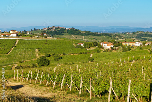Canvas-taulu Panoramic summer view on the hills of Monferrato, historical wine region of Pied