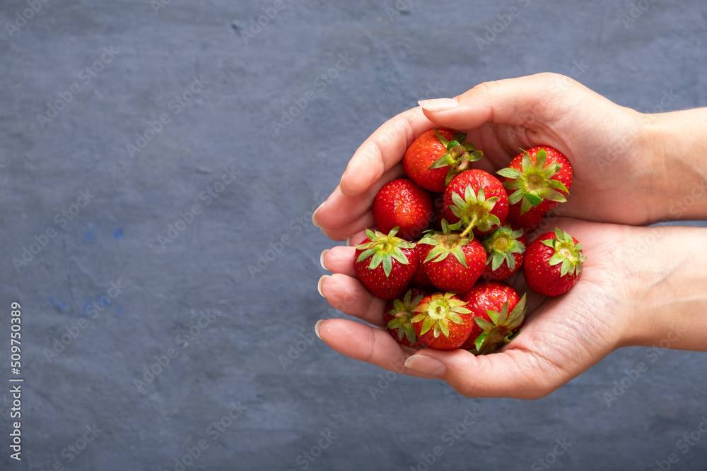 Female hands holding handful of fresh summer strawberries on dark stone background. Sharing fresh strawberries from the garden - obrazy, fototapety, plakaty 