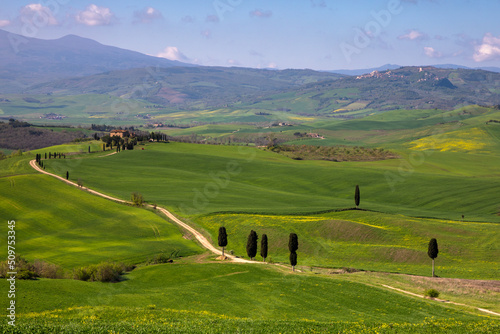 landscape with green hills and blue sky