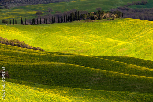 landscape with fields