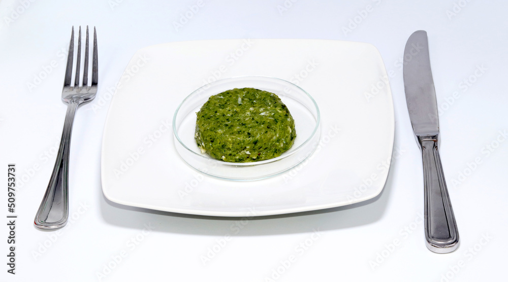 Vegetable or vegan burgers are created in the biotechnology laboratory. Concept of plant-based meat. Vegetable or vegan burgers are created in the biotechnology laboratory. Concept of plant-based meat.