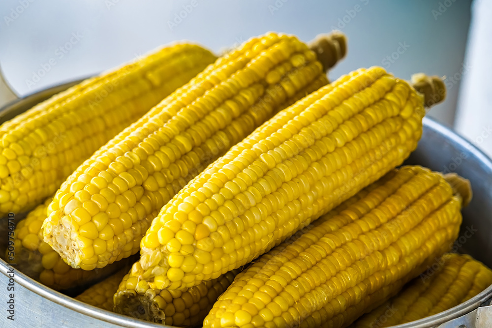 Closeup of Boiled Sweet Corn on street market Closeup of Boiled Sweet Corn on street market