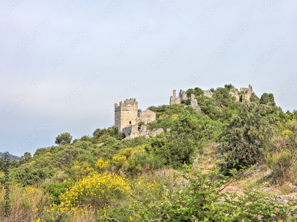 Paysage de montagne et de nature au Mont Macaron avec les ruines de Châteauneuf Villevieille  avec vue sur les sommets du Mercantour
