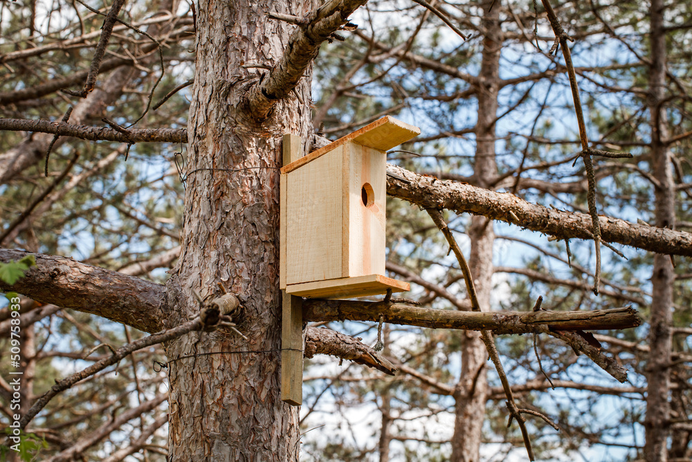 Birdhouse, wooden house for birds, on tree among branches in forest, selective focus. Birdhouse, wooden house for birds, on tree among branches in forest, selective focus.