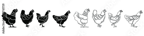 Chicken vector icon set Fototapet