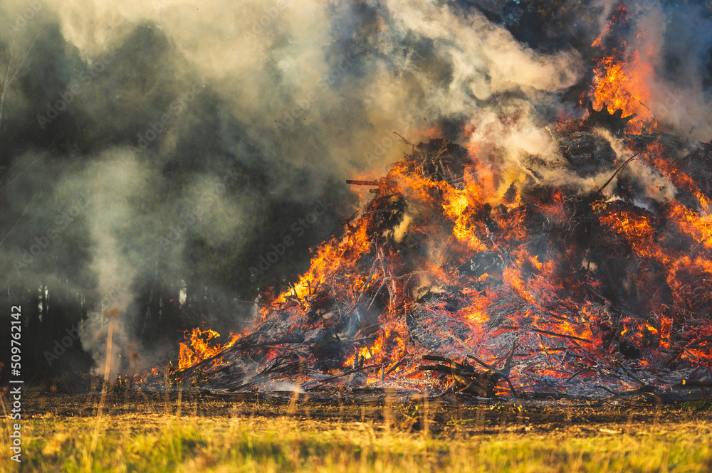 Obraz premium Celle, 09.06.2022