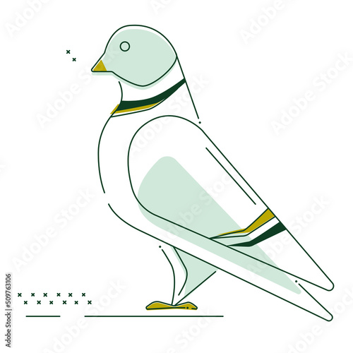 dove icon in two version