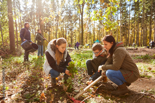 Mutter und Kinder pflanzen einen Baum zusammen im Wald photo