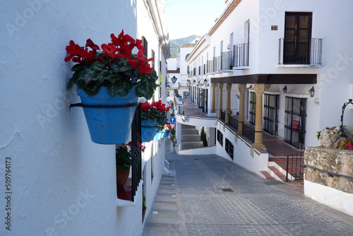 Fototapeta Naklejka Na Ścianę i Meble -  street