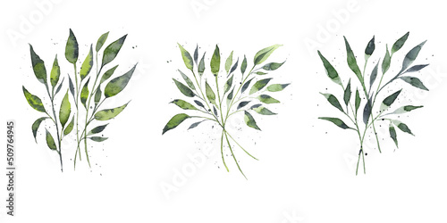 Set of watercolor rose design elements  flowers  leaves  twigs  shoots  branches  botanical illustration isolated on white background
