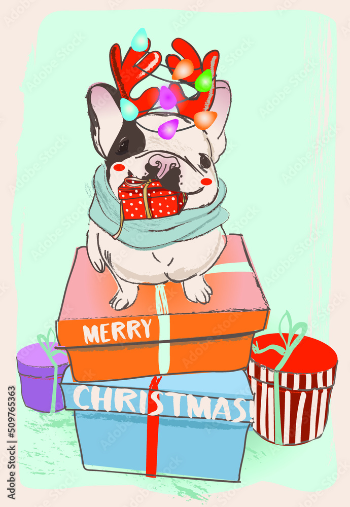 Cute french bulldog with present boxes, rabbit