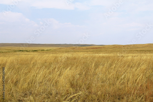 Beautiful steppe landscape with tall yellow grass against the sky with clouds in autumn  sunny