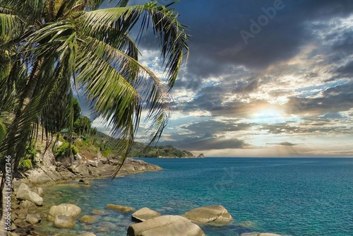 Palmenstrand
